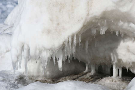 Winter scene