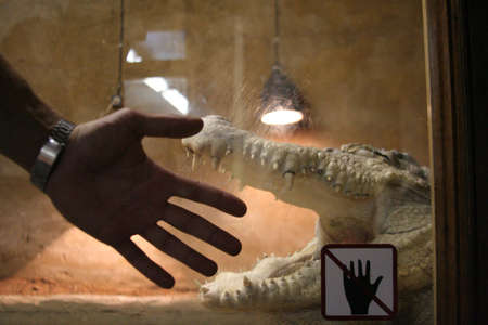 A dangerous situationの写真素材