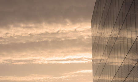 The convergence between nature and architecture