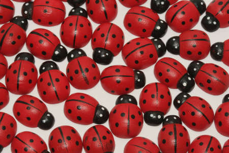 Artificial ladybugs on white bakcgroundの写真素材
