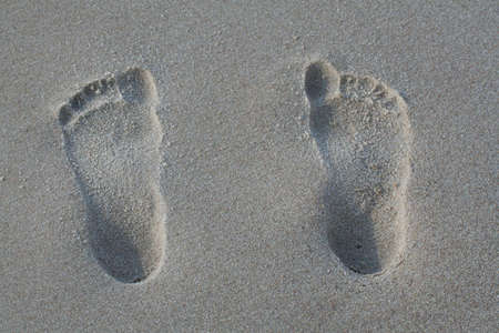 Footprints in the sand