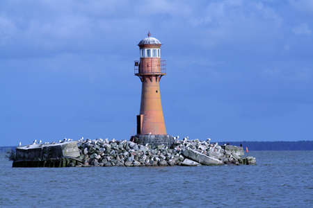 A landscape with a red lighthouse and birds; Lithuaniaの写真素材