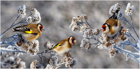 White morningの写真素材