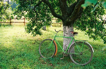 Bicycle under an apple-treeの写真素材