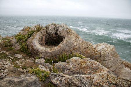 Fossil Forest in Dorset, England