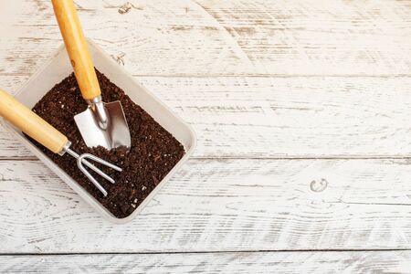 Beautiful little metal shovel and rake in a container with earth on a white wooden background with empty space for text. Solar flare.の写真素材