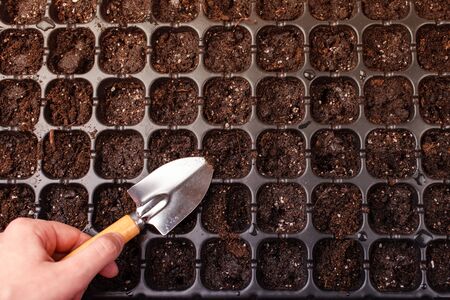 Hand holds a small beautiful metal shovel. Cells for planting seeds and sprouts. Home gardening. Growing plants in your apartment.の写真素材