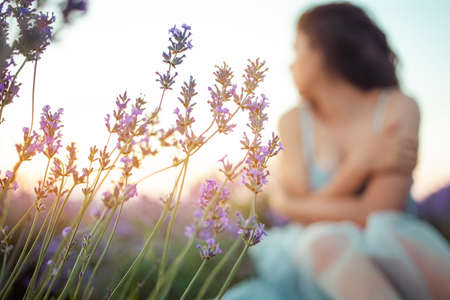 A beautiful young girl against the sunset and a beautiful sky in a lavender field. Purple lavender, orange sky, empty space for text. Advertising photo of perfume, makeup, fashion, lavender, beauty.の写真素材