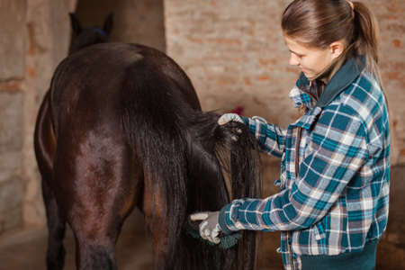 Young teenage girl equestrian kissing her chestnut horse. Multicolored outdoors horizontal image.の写真素材