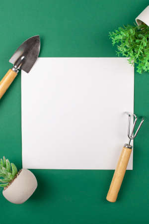Mocup is an empty white space for text, gardening design advertising post. Green background, plants. flat layの写真素材