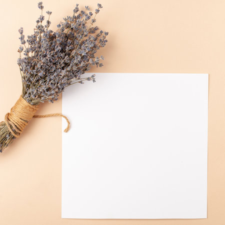 Mocup on a beige background. Beautiful plants, empty white space for text. Advertising is a design post. flat lay dried lavender bouquet.の写真素材