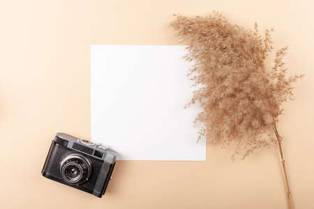 Mocup on a beige background. Beautiful plants, empty white space for text. Advertising is a design...