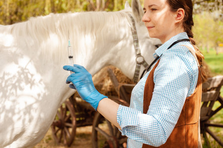 A young beautiful female vet inspects a white horse. Love, medicine, pet care, trust, happiness, health. A girl vaccinates a horse. syringe, vaccine, disease protectionの写真素材