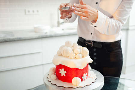 The pastry chef decorates cake with powder, snow. Beautiful cake for Christmas, New Year, holiday....