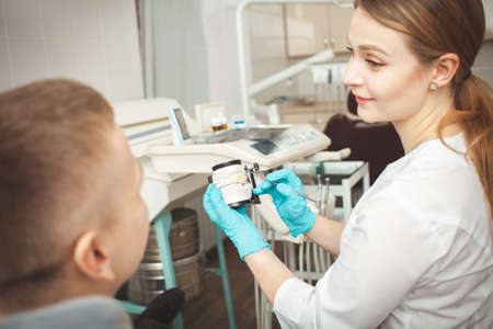 beautiful female dentist explains and shows patient cast of his teeth. Medical procedures in clinic, friendly doctor.の写真素材