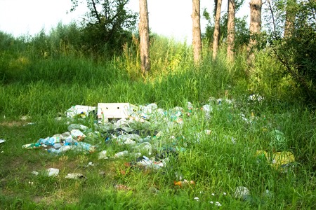 Trash at the summer meadow in the forestの写真素材