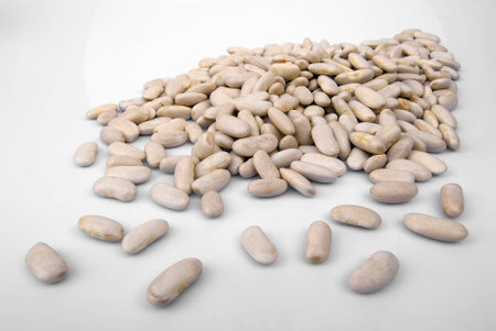 white Beans on white background