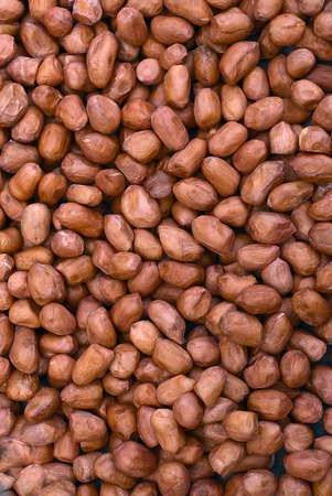 Shelled peanuts (Arachis hypogaea), legumes used for human consumption and animal feed.