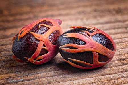 Nutmeg (Myristica fragrans), Myristicaceae. Spice, fresh nut with mace. On wooden table.の写真素材