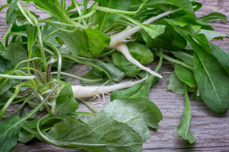 Rampion, rapunzel or turnip (Campanula rapunculus), Campanulaceae. Edible wild grass, forage cooking ingredient.の写真素材