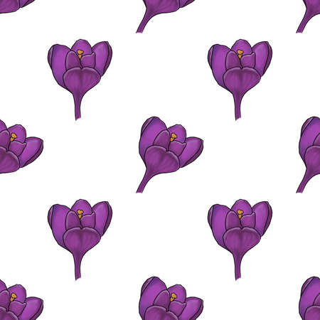 Seamless pattern with crocus illustration on white background, great design for any purposes. Greeting card design. Art element. Summer, spring background. textile and fabric.の写真素材