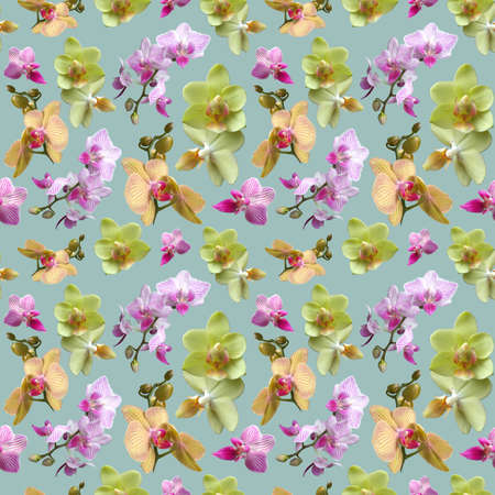 Yellow and purple orchid on light green background. isolated flowers. Seamless floral pattern for fabric, textile, wrapping paper. tropical flowers.の写真素材