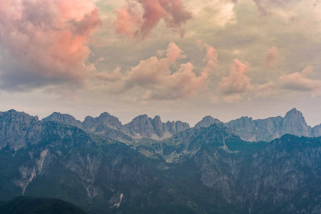 Gamila summit summer 2018