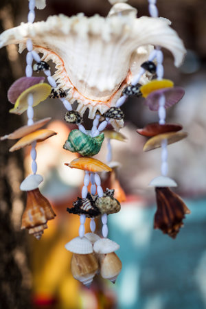 Hand made Mobile Shellg