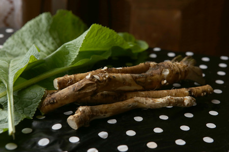 Horseradish root and leaves on table. Horseradish is a root vegetable used as a spice.の写真素材