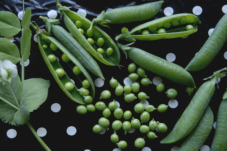 Fresh pea pods. Green peas on black spotted tablecloth.の写真素材