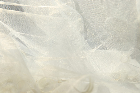 Feathers and white tulle fabric background. Abstract artistic composition with feathers and  transparent material feathers.の写真素材