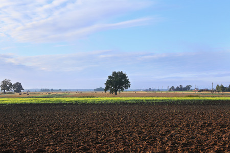 Agricultural landscape, arable crop field. Countryside landscape arable. Plowed soil in  farmland.の写真素材