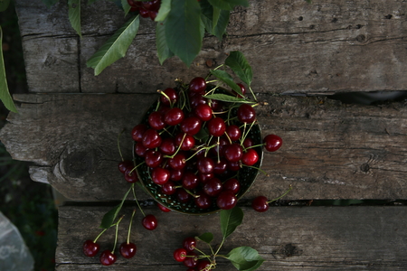 Freshly picked cherries in a bowl on a wooden table in a garden. Fresh ripe cherries harvested in...