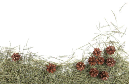 Border of pines and needles. Dry pine cones and  needles isolated on white background.の写真素材