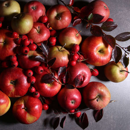 Composition with red apples and hawthorn berries. Autumn still life background with fruits, top view.の写真素材