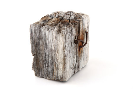 Driftwood isolated on white background. Piece of sea drift wood.の写真素材