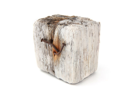 Driftwood isolated on white background. Piece of sea drift wood.の写真素材