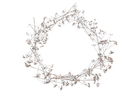 Frame of dry wild meadow grasses or herbs isolated on white background. Border of dry field flowers. Winter pattern background.の写真素材