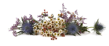 Flowers  Mediterranean sea holly, Limonium safora and Waxflowers isolated on white background. Border of Blue sea holly thistles, Eryngium bourgatii and Darwinia uncinata, Chamelaucium uncinatum.の写真素材