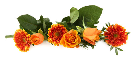 Border of Gerberas and Roses isolated on white background. Arrangement of orange flowers and leaves.の写真素材
