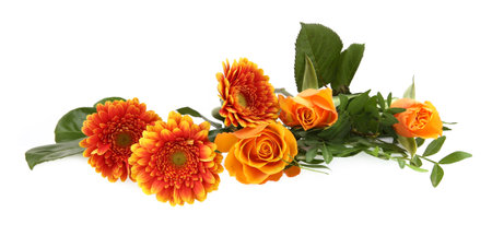 Border of Gerberas and Roses isolated on white background. Arrangement of orange flowers and leaves.の写真素材
