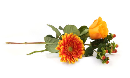 Gerbera and Rose isolated on white background. Bush of orange flowers and leaves.の写真素材
