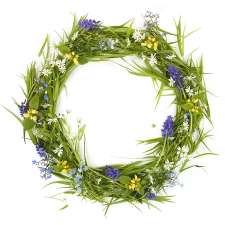 Wreath of spring flowers Greater stitchwort, Grape hyacinth, Yellow archangel isolated on white background. Flowers Rabelera holostea, Muscari botryoides, Lamium galeobdolon.の写真素材