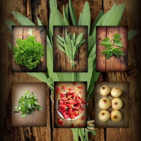 Vintage collage of fresh herbs の写真素材