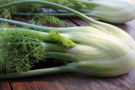 Fresh organic fennel on wooden tableの写真素材