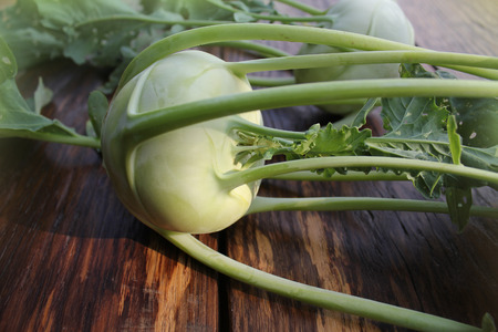 Fresh, organic kohlrabiの写真素材