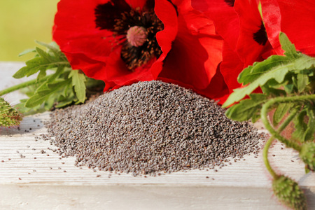 Poppy seedsの写真素材