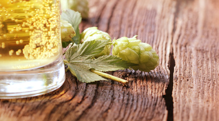 beer glass and hops on wooden backgroundの写真素材