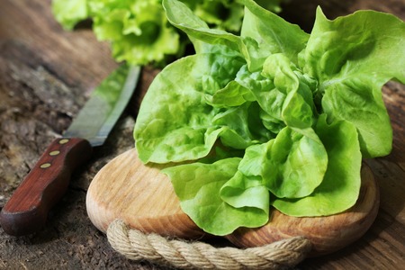 Raw green organic butter lettuce ready to chop on cutting board with knifeの写真素材