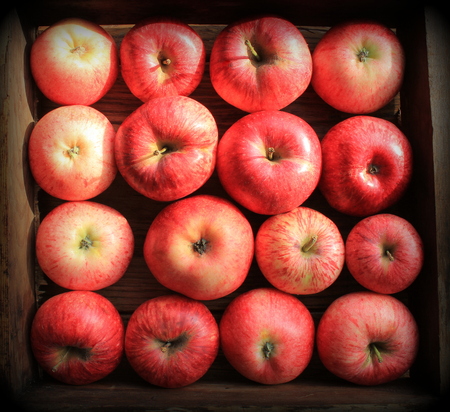 Background with fresh red apples . Top view